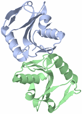 Image Asym./Biol. Unit