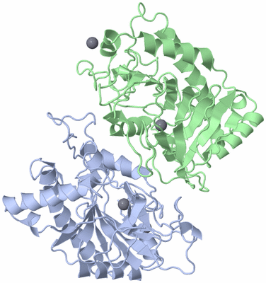 Image Asym./Biol. Unit