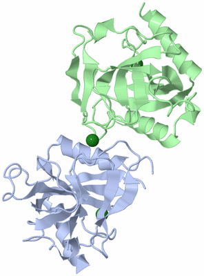 Image Asymmetric Unit