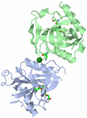 Image Asym. Unit - sites