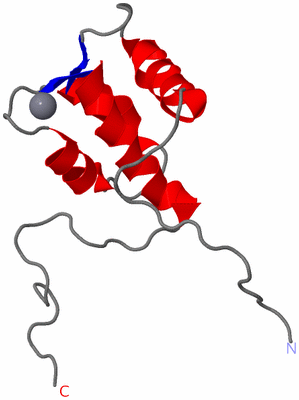 Image NMR Structure - model 1