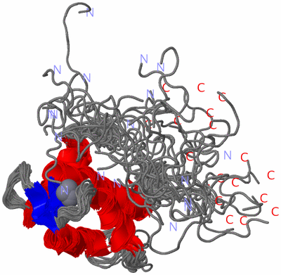 Image NMR Structure - all models