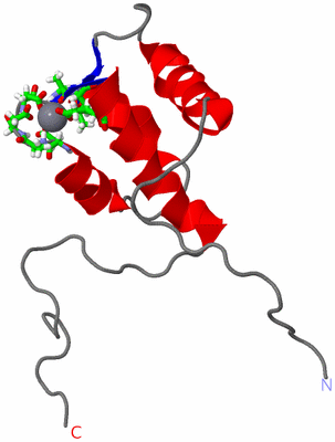 Image NMR Structure - model 1, sites