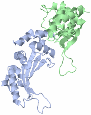 Image Asymmetric Unit