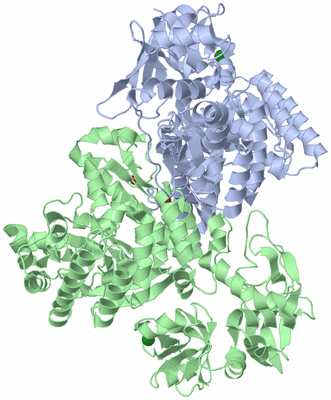 Image Asym./Biol. Unit