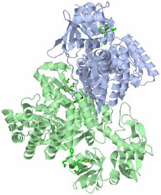 Image Asym./Biol. Unit - sites