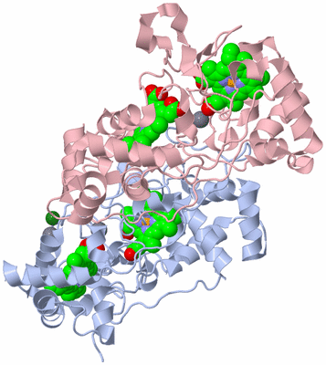 Image Biological Unit 1