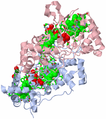 Image Biol. Unit 1 - sites