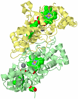 Image Biological Unit 2