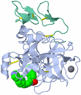 Image Asym./Biol. Unit