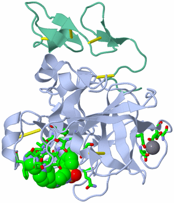 Image Asym./Biol. Unit - sites