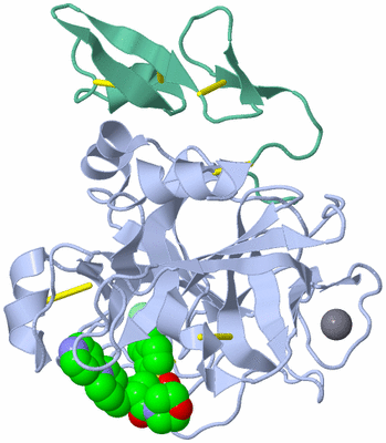 Image Asym./Biol. Unit