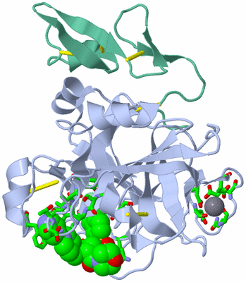 Image Asym./Biol. Unit - sites