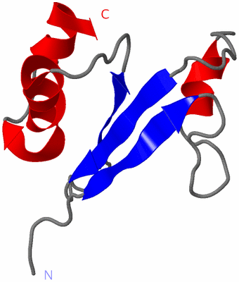 Image NMR Structure - model 1