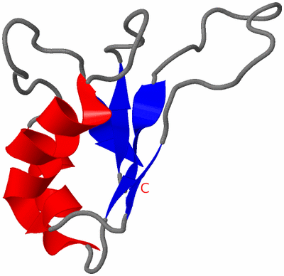 Image NMR Structure - model 1