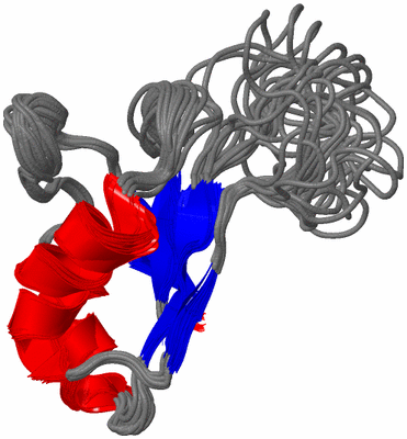 Image NMR Structure - all models