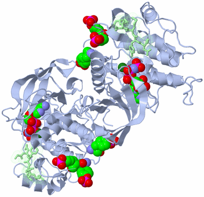 Image Biological Unit 1