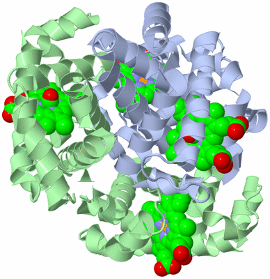 Image Biological Unit 2