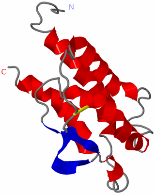 Image NMR Structure - model 1