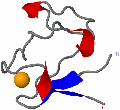 Image Asymmetric Unit