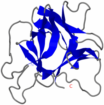 Image NMR Structure - model 1