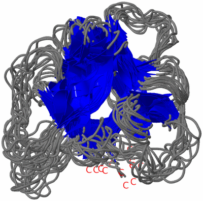 Image NMR Structure - all models