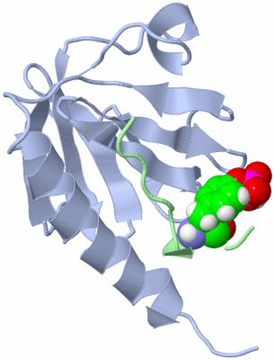 Image NMR Structure - model 1