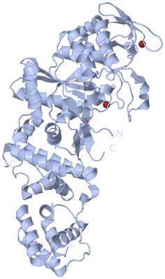 Image Biological Unit 1