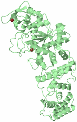 Image Biological Unit 2