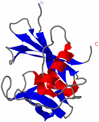 Image NMR Structure - model 1