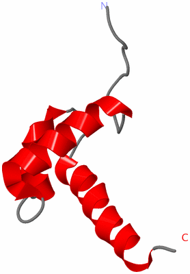 Image NMR Structure - model 1