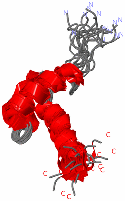 Image NMR Structure - all models
