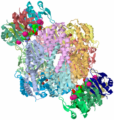 Image Asym./Biol. Unit