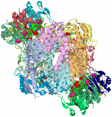 Image Asym./Biol. Unit - sites