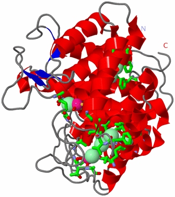 Image Asym./Biol. Unit - sites