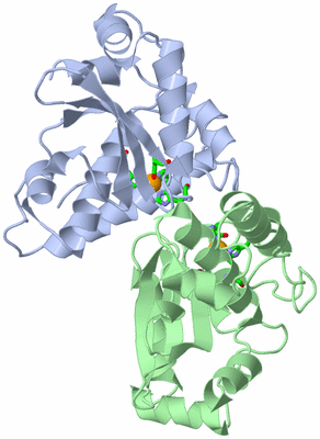 Image Asym./Biol. Unit - sites