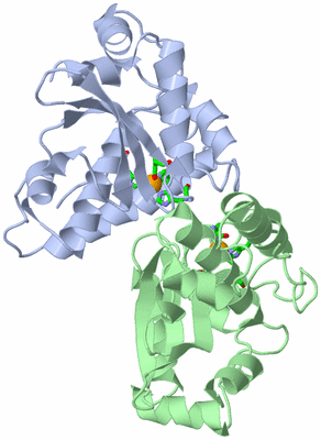 Image Asym./Biol. Unit - sites