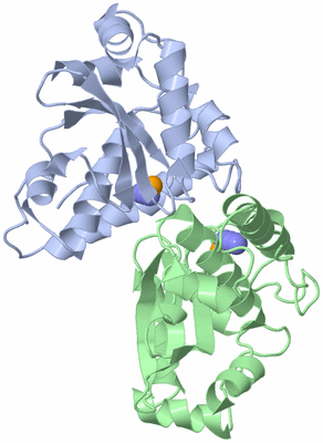 Image Asym./Biol. Unit