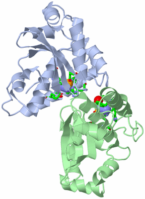 Image Asym./Biol. Unit - sites