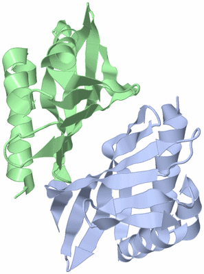 Image NMR Structure - model 1