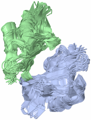 Image NMR Structure - all models