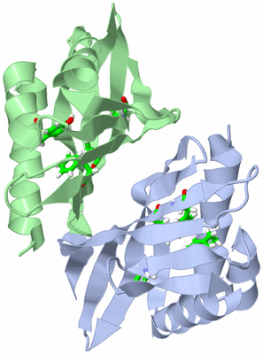 Image NMR Structure - model 1, sites