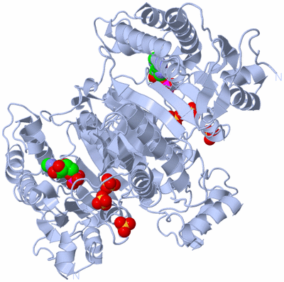 Image Biological Unit 1