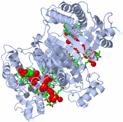 Image Biol. Unit 1 - sites