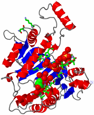 Image Asym. Unit - sites