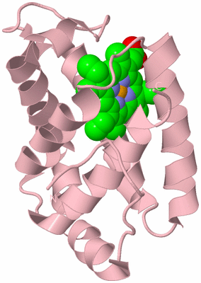 Image Biological Unit 3
