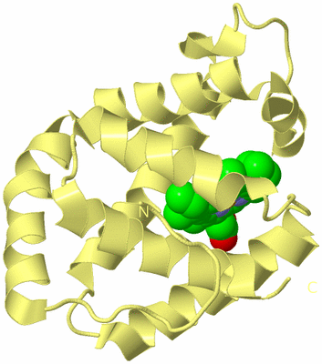 Image Biological Unit 4