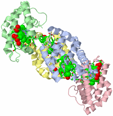 Image Asym. Unit - sites