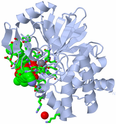 Image Biol. Unit 1 - sites