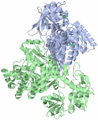 Image Asym./Biol. Unit